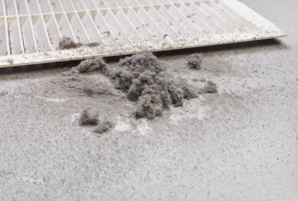 Best Affordable HVAC Duct Cleaning  in Choccolocco, AL